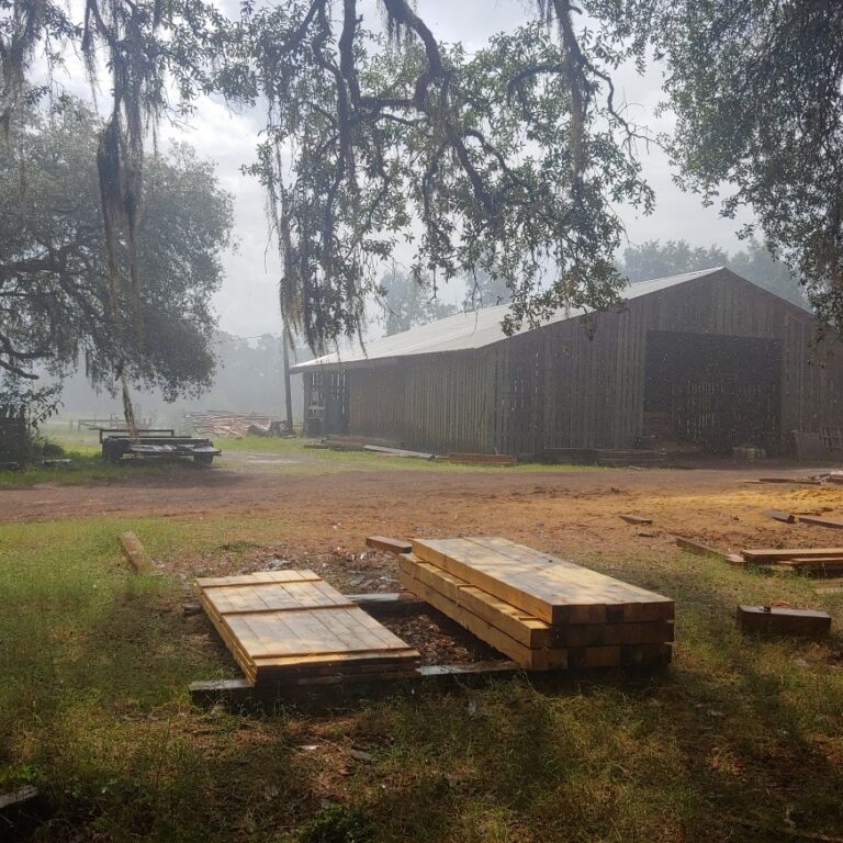 217733830 1878649732306965 9208438758098169003 n 768x768