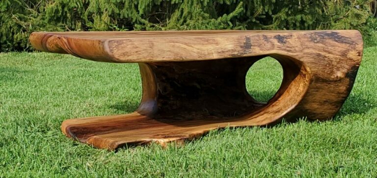 243059164 4318881101499520 2275917676863214650 n 768x364