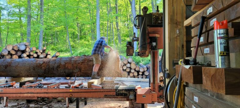 281716957 5056614384392851 2582315693556799564 n 768x346