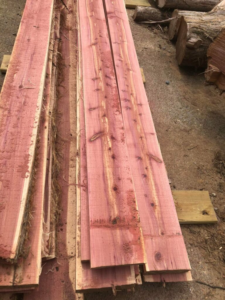 285651762 318783907111231 6659103376914980435 n 768x1024