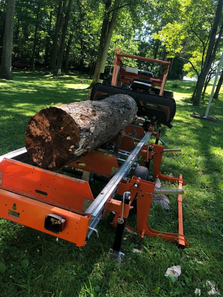 286000783 318020870520868 5402159889321546057 n 768x1024