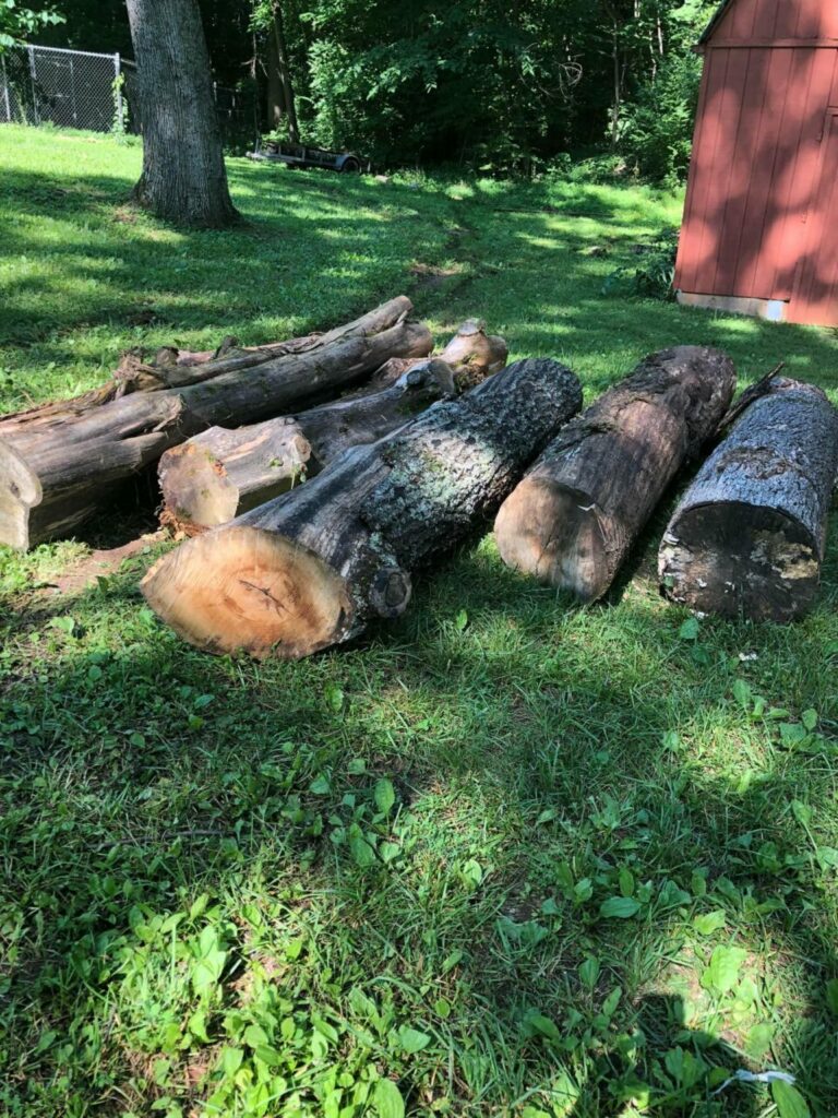 286328793 318020910520864 6271097444009671364 n 768x1024