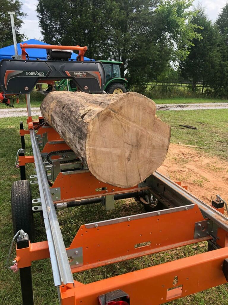 286715593 321372340185721 7639198062832479039 n 768x1024