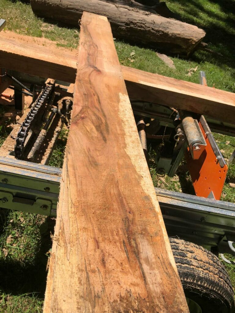 287070895 318020850520870 1894995303193244319 n 768x1024