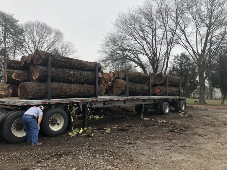 2D3AEC58 38E7 4EEB 975C 7336F82A6EE3 768x576