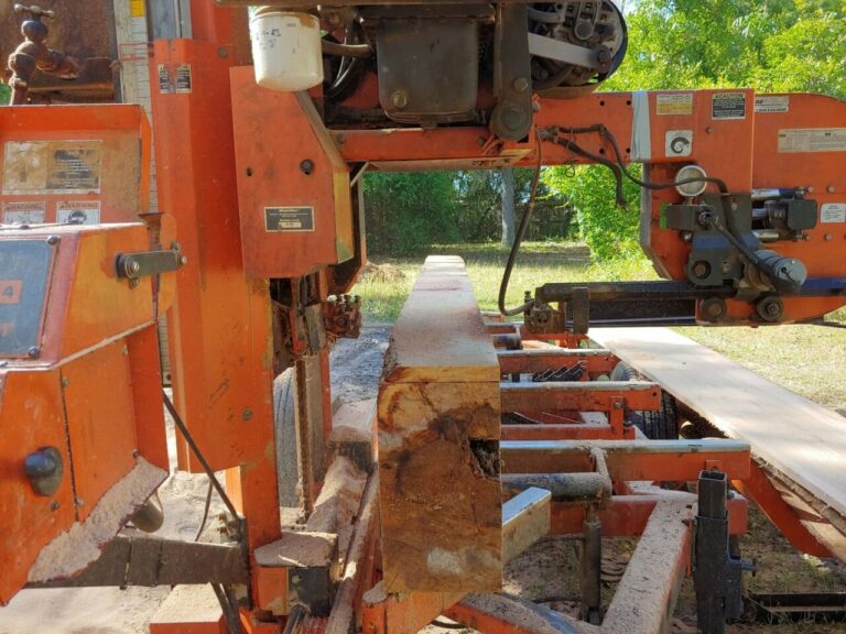 55887754 1186098654895413 6308952507057963008 n 768x576