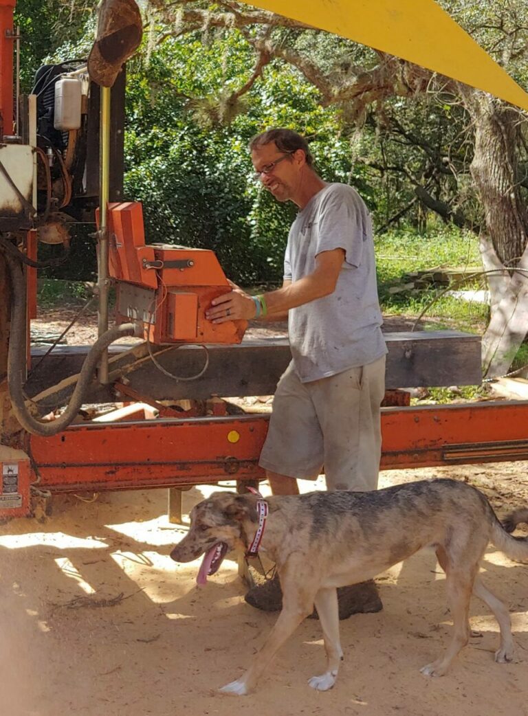 56521539 1186503018188310 3538385145834766336 n 1 768x1042