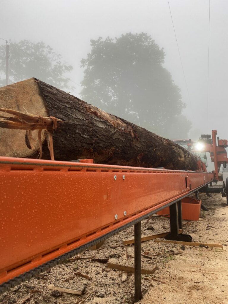 570DEF1E 84A3 4ABE AEDB 4D26366F58C7 768x1024