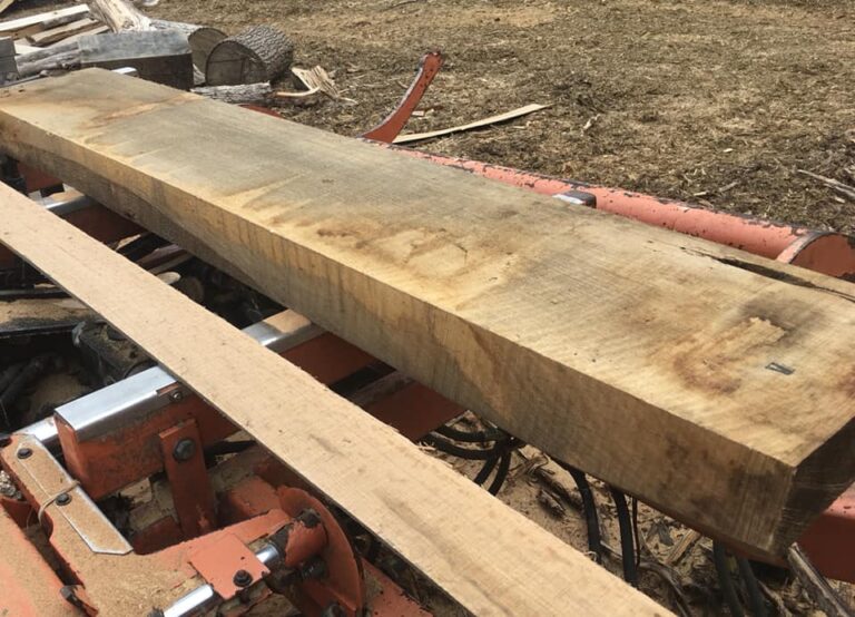 57119631 2149242231796762 6263824748807979008 n 768x554