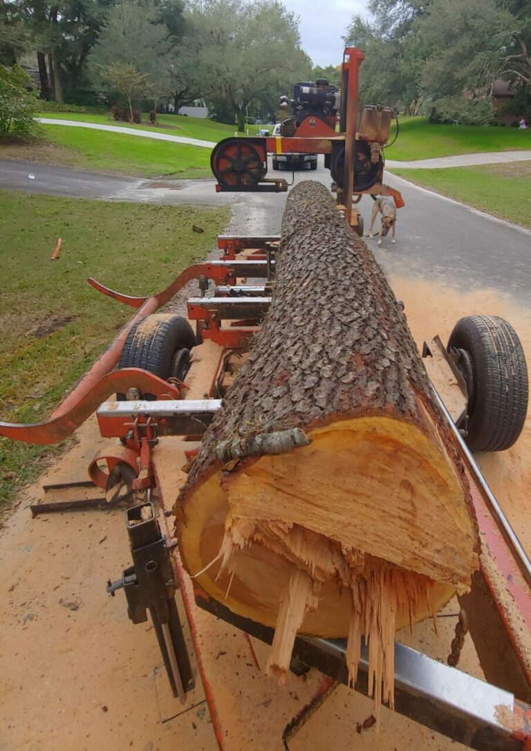 57393222 1197156653789613 4065977459596591104 n 768x1086