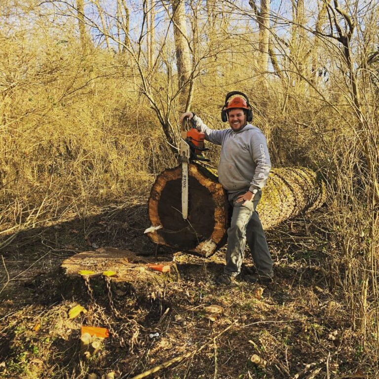 77C0148A 887F 4F86 AFB2 C1A8AE8C09E9 768x768