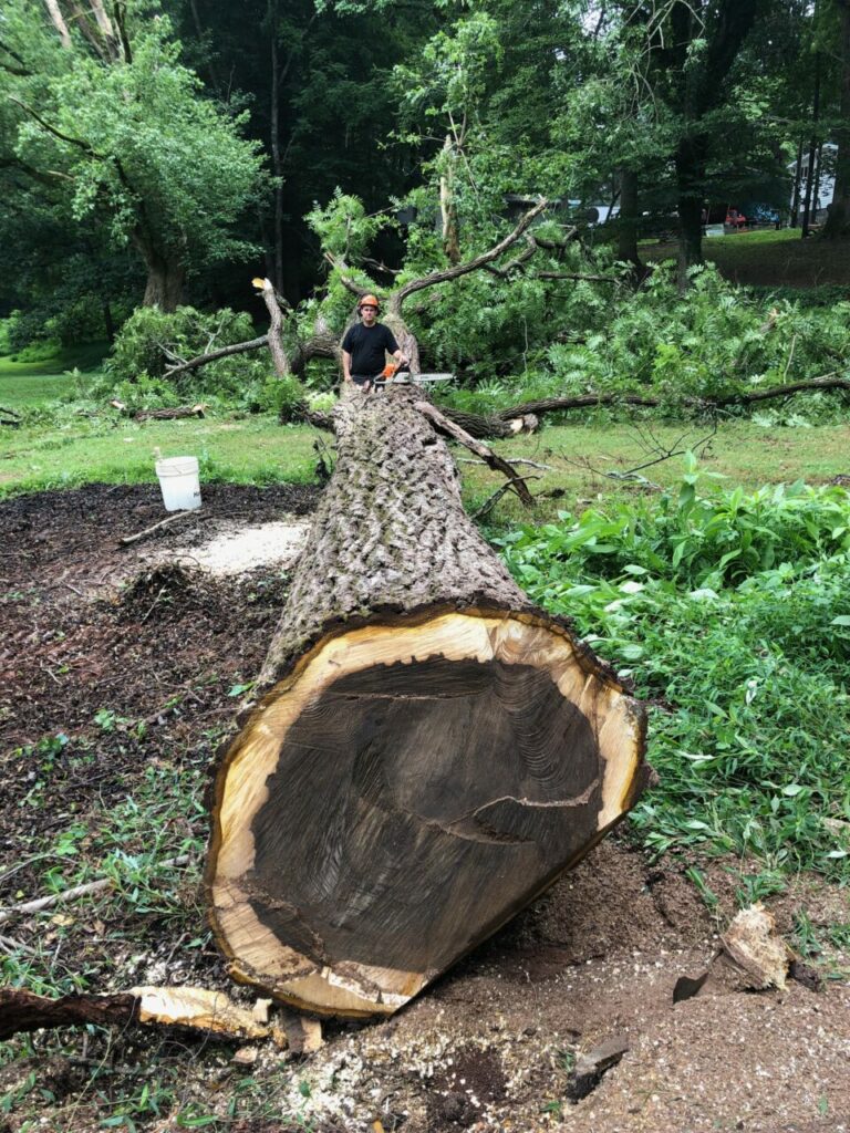 A87F3C0C 0FFC 4B61 95A6 483537ED6F82 768x1024