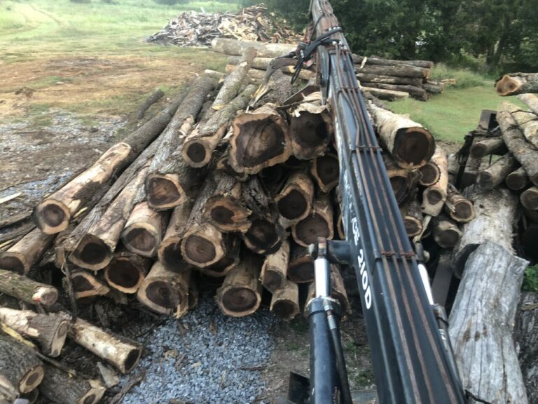 B1C54791 F288 496F 8A33 984A4DC545F6 768x576