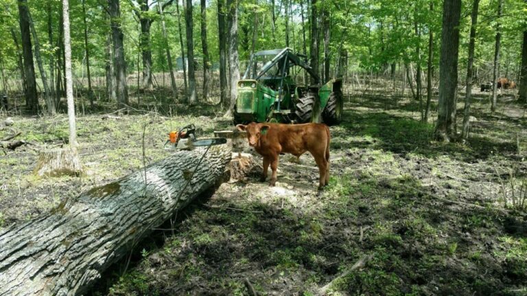 BC0CA512 91EC 4E6D B570 76915898ECF5 768x432