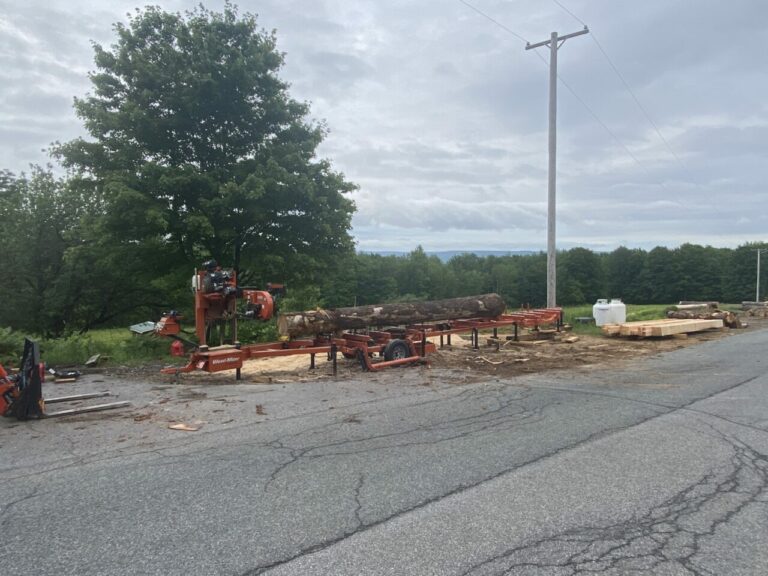 BC51775D D340 4374 A4C1 3BACFD81202E 768x576