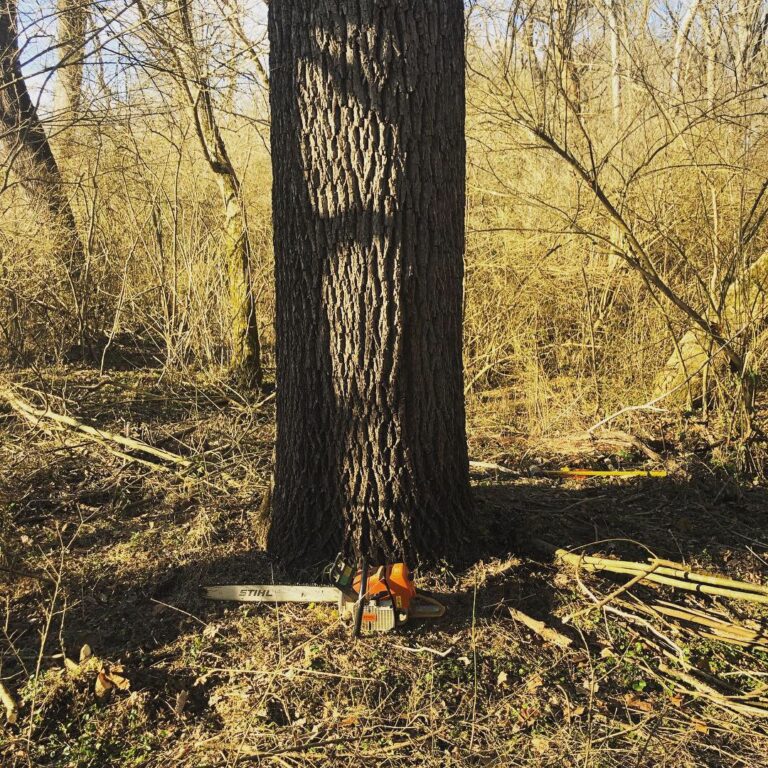 D5AEF3B6 7DD9 429C B75C 7D2CFC6C123F 768x768