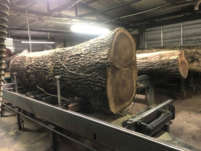 DE41B8D2 5B0A 4C35 9B9F 9572DE87954B 768x576