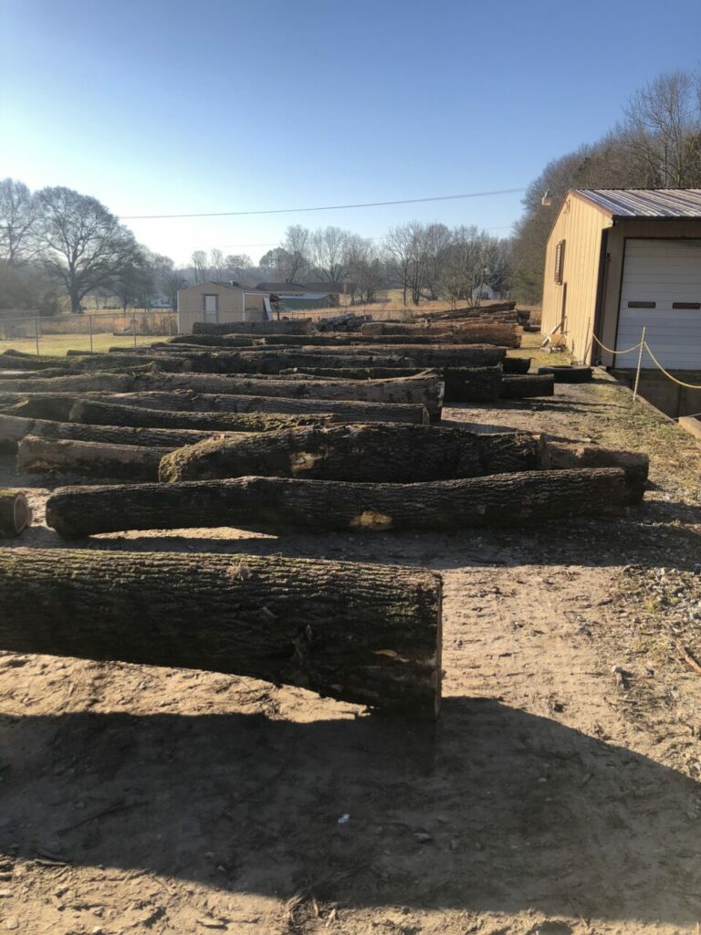 E114DC3B 67F1 410A B595 00A3FEBBA576 768x1024