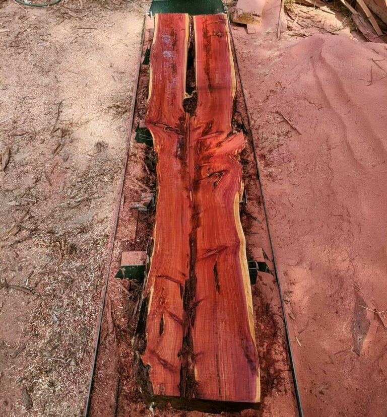 FB IMG 1655853295635 768x828