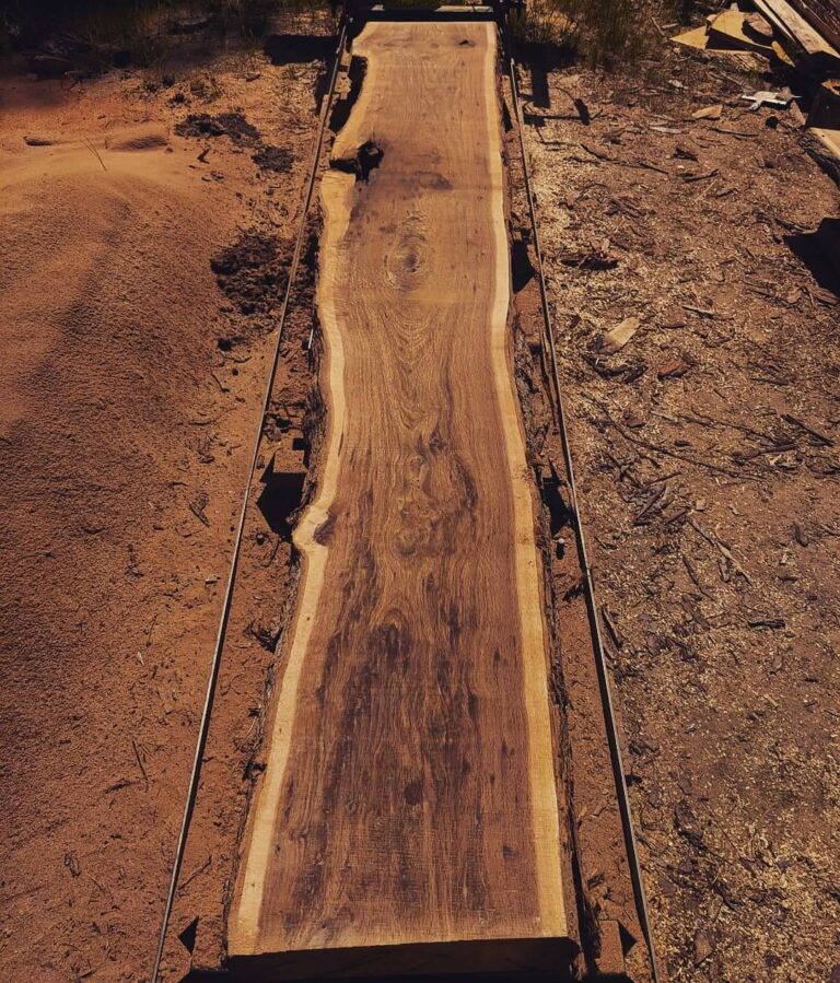 FB IMG 1655853300605 768x899