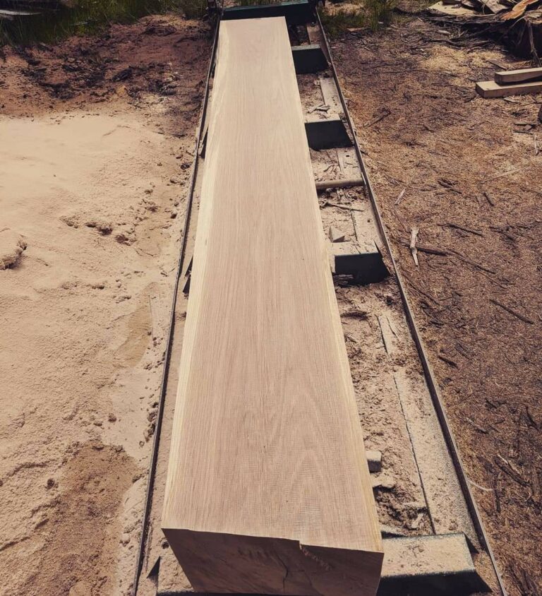 FB IMG 1655853308313 768x844