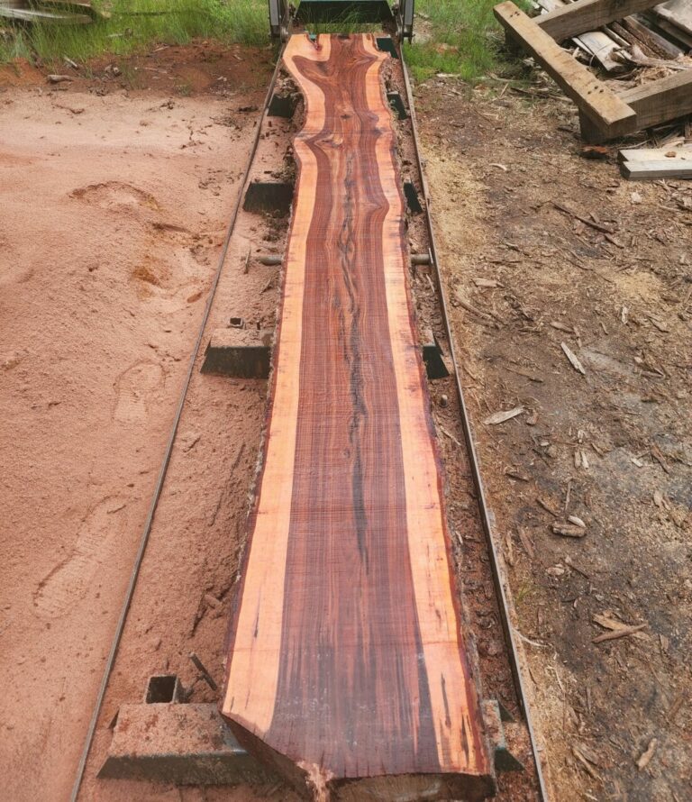 IMG 20220607 130241 487 768x890