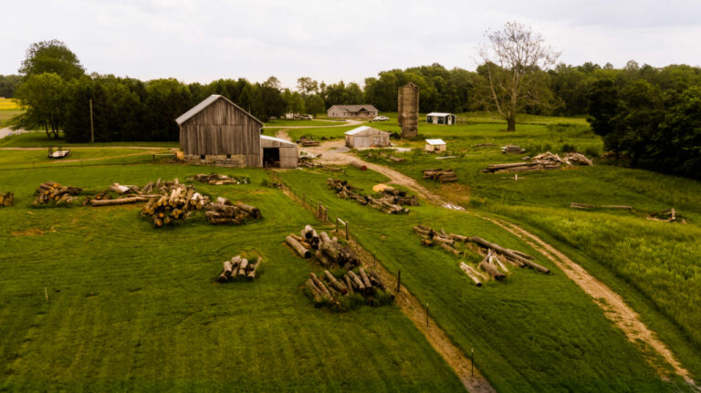 Restoration Sawmill Grounds 768x431