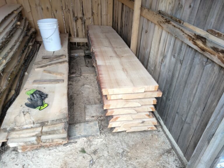 inbound142262517279076540 768x576