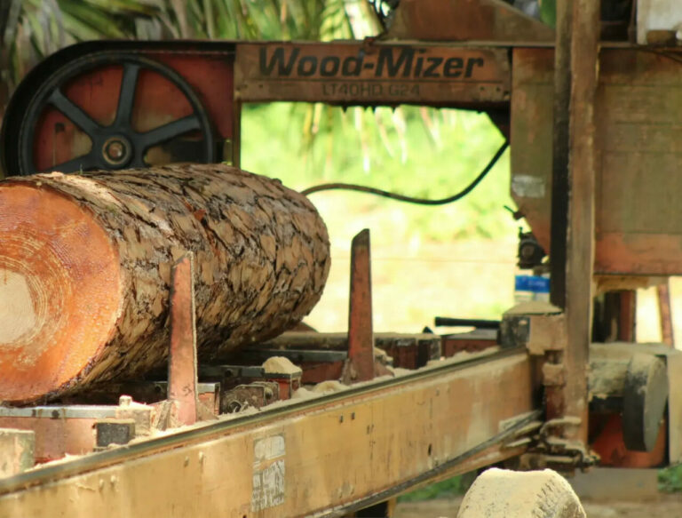 logs to lumber 768x583