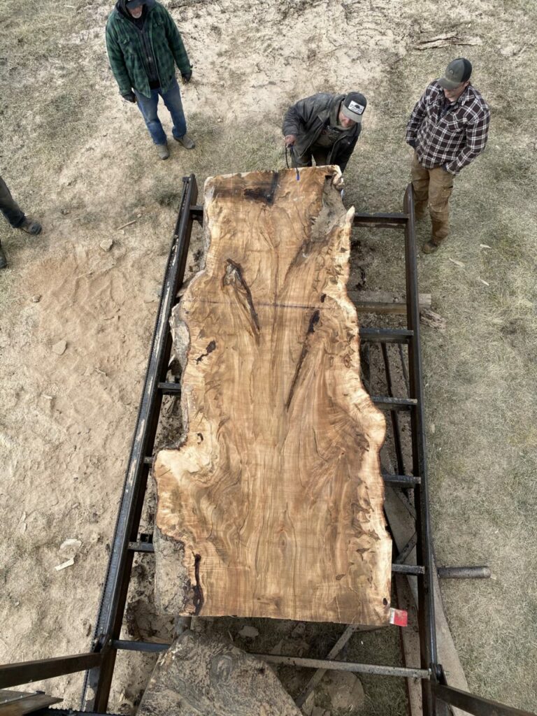 447322BC 6CDF 4FF5 B177 1DBF630D5151 768x1024