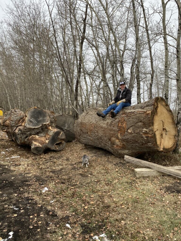 6F1340C6 07B4 4DEC 8545 672531E33500 768x1024