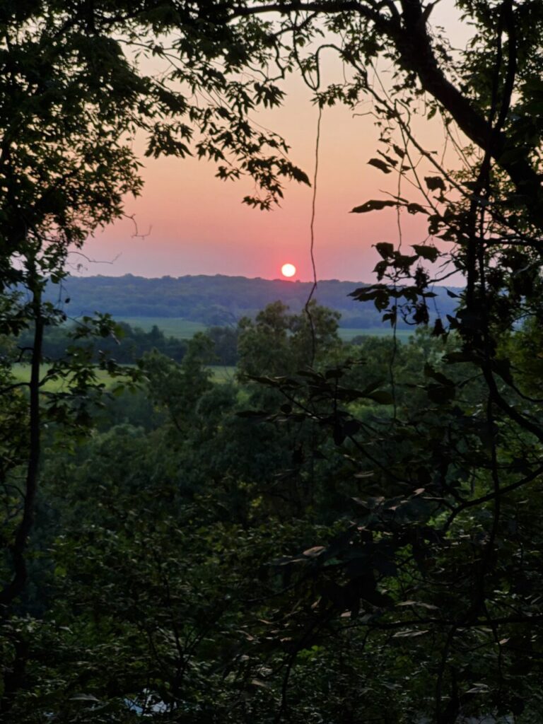 20200824 195043 768x1024