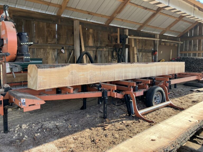 F0222BB2 9C60 4ECD 811F D674669A96A5 768x576