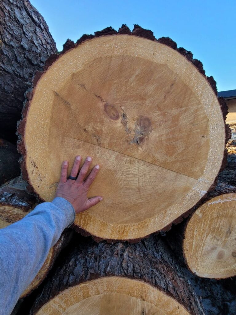 hand on log end 768x1024